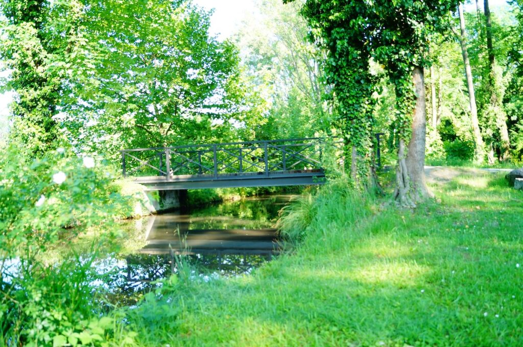 Ruhige Brücke über einem klaren Bach inmitten von Grün – ein Ort für Achtsamkeit, innere Ruhe und bewusste Auszeiten.