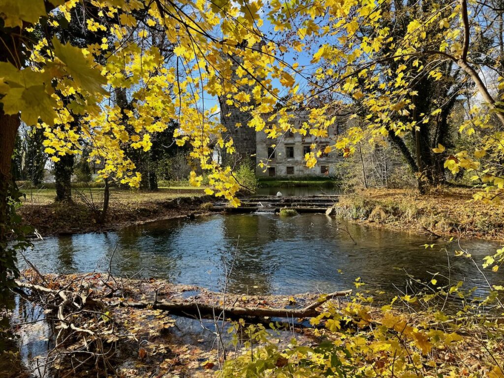 Sonnendurchflutete Herbstszene mit goldenem Laub über einem ruhigen Fluss, der eine friedliche und natürliche Atmosphäre vermittelt.